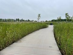 -鹦鹉洲湿地公园