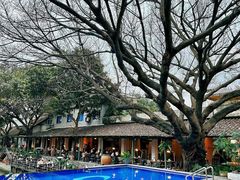 -喜洲吧·江畔老船厂·庭院餐厅(喜临院店)