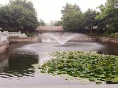 -西溪国家湿地公园