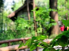 -成都杜甫草堂博物馆
