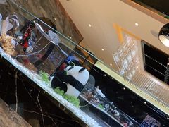 -红辣椒·川菜·火锅(张杨路店)