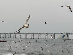 -星海广场