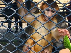 -长白岛森林公园