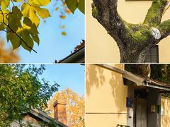 -颐和路民国时期公馆-风貌区