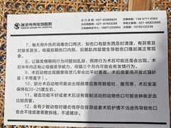 -伟伟宠物医院·CT影像中心·瑞派犬猫综合性门诊(汉口总院)