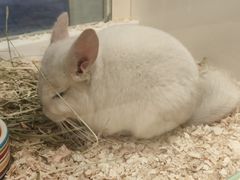 -龙猫仔乐园(惠福东路店)