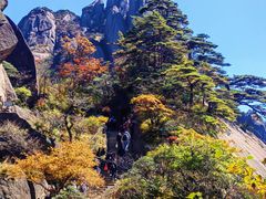 -黄山风景区