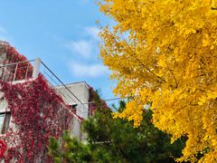 -北京动物园-畅观楼