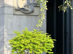 -素慧餐厅(大虹桥店)