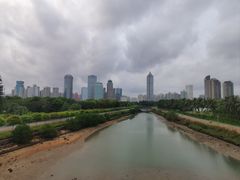 -万绿园