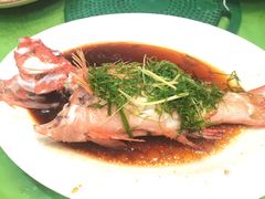 蒸东星斑-盛港湾海鲜食府(黄沙店)