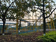 -飞来湖湿地公园