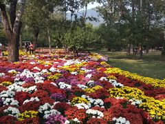 -北京植物园-展览温室