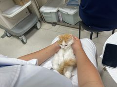 -全心全意连锁动物医院(加州店)