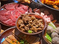 -阳阳老火锅(小南门店)