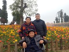 -秀丽东方