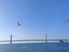 -星海广场