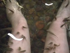 -中铁花水湾温泉酒店(大邑店)