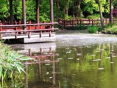 -上海滨江森林公园