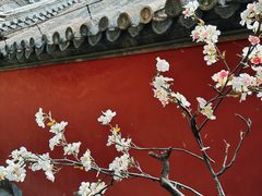 -潭柘寺景区