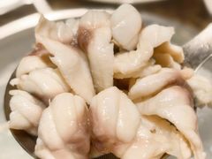 -鱼粤鲜淘米捞·中山脆肉鲩火锅(悦湖会店)
