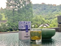 -嘉龙茶庄
