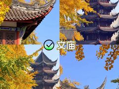 -老鼎万春卤菜(五代传承创始老店)