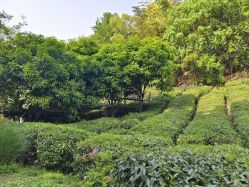-尚圣月子会所·庄园式月子中心(萧山湘湖店)