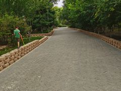 -大兴滨河森林公园