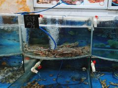 -鑫渔港海鲜本地菜·山海关浑锅(东戴河店)
