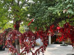 -善卷洞风景区
