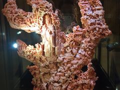 iphone_upload_pic-绮丽珊瑚(台北101旗舰门市店)