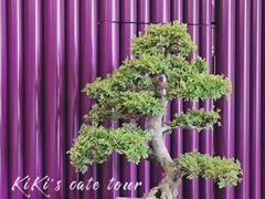 -喜粤8号(四海唐人街店)
