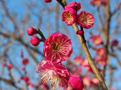-广富林郊野公园