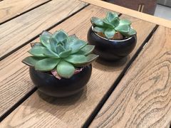 -Peet's 皮爷咖啡(陆家嘴中心店)