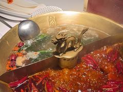 -小龙翻大江文化火锅(宽窄店)