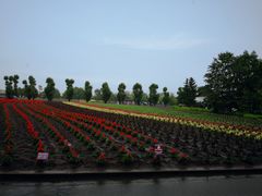 -富田农场