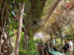 -The Grounds of Alexandria