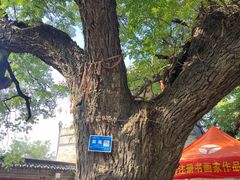 -洛阳周公庙博物馆