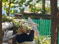 -西霞口神雕山野生动物世界