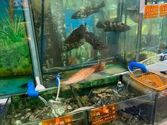 -朱仔记食府(江南大道店)