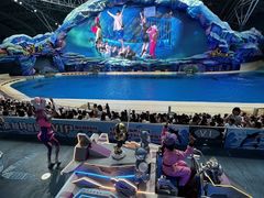 -珠海横琴长隆《卡卡虎奇遇记》