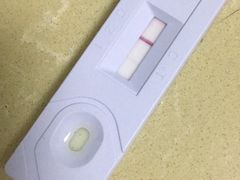 -宠颐生贝利健动物医院(谢家湾分院)