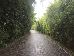 -建国蚵煎蚵面