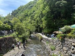 -石台牯牛降景区