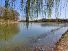 -大兴滨河森林公园