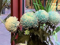 -二酉书店TOYOU BOOKS