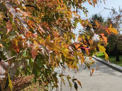 -长春世界雕塑园冰雪艺术天地