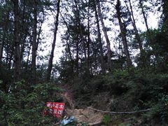 -长沙黑麋峰国家森林公园