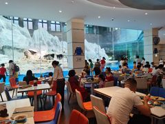 大堂-帝企鹅自助餐厅•儿童岛•真企鹅(长隆企鹅酒店)